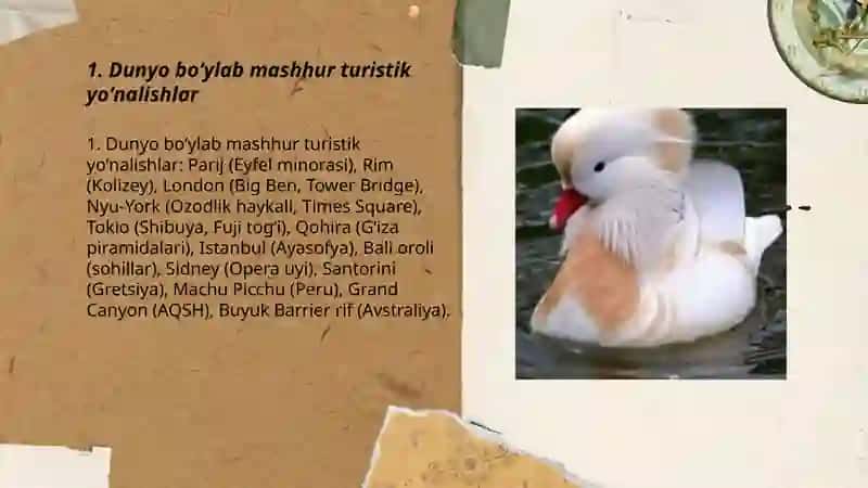 Dunyo boʻylab mashhur turistik yoʻnalishlar 3