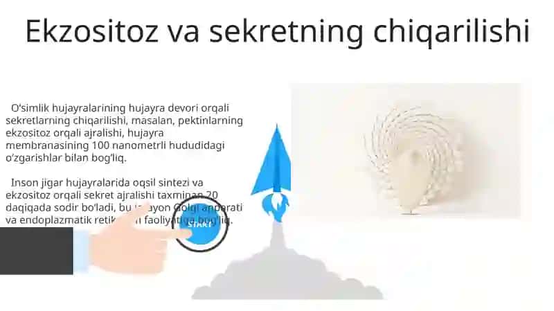 Bez sekretsiyasining ulturastuktura asoslari 3