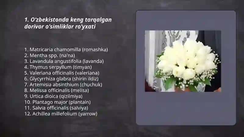 O'zbekistonning dorivor oʻsimliklari 3