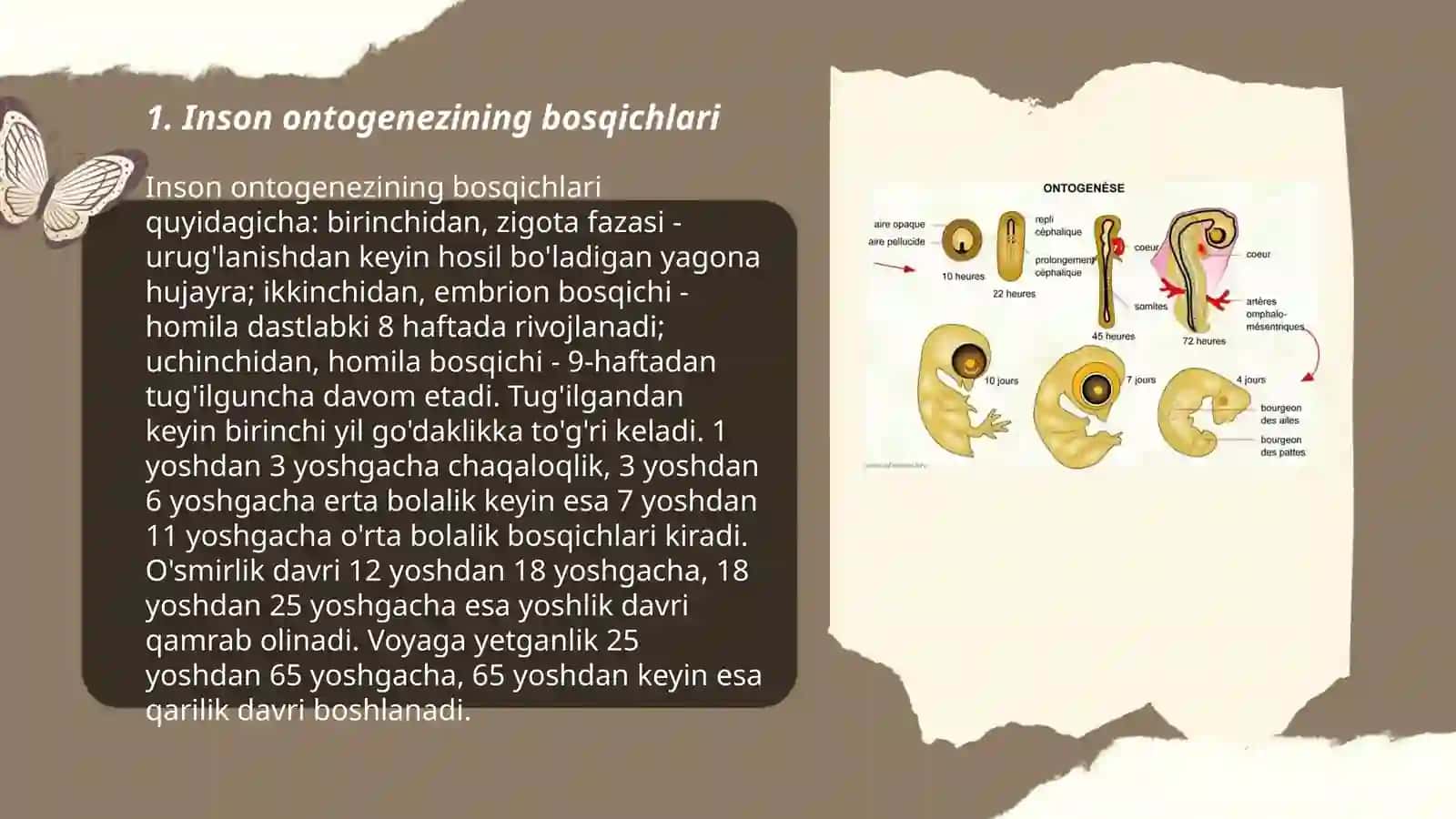 Inson sanasiniñ ontogenezde rawajlaniwi 3