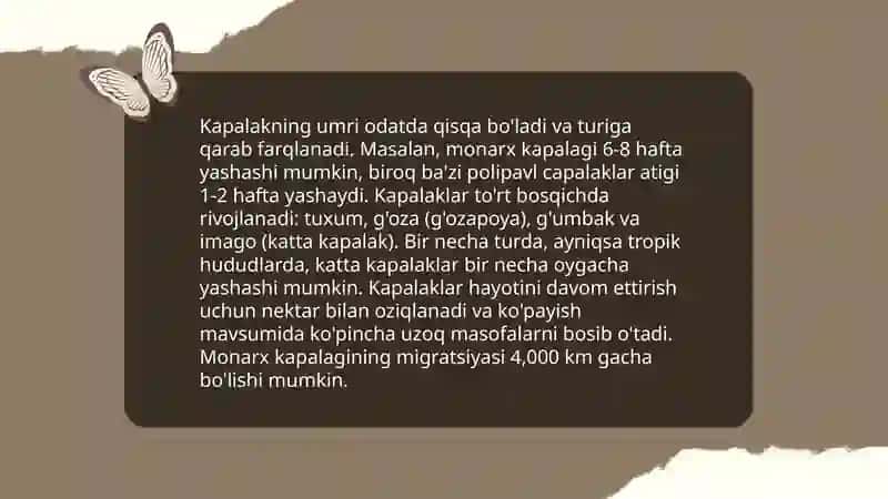 Kapalak hikoyasi 3