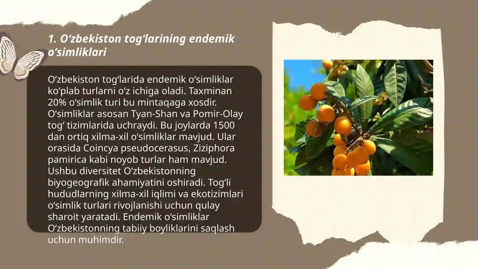 Oʻzbekiston florasi endemlari 3