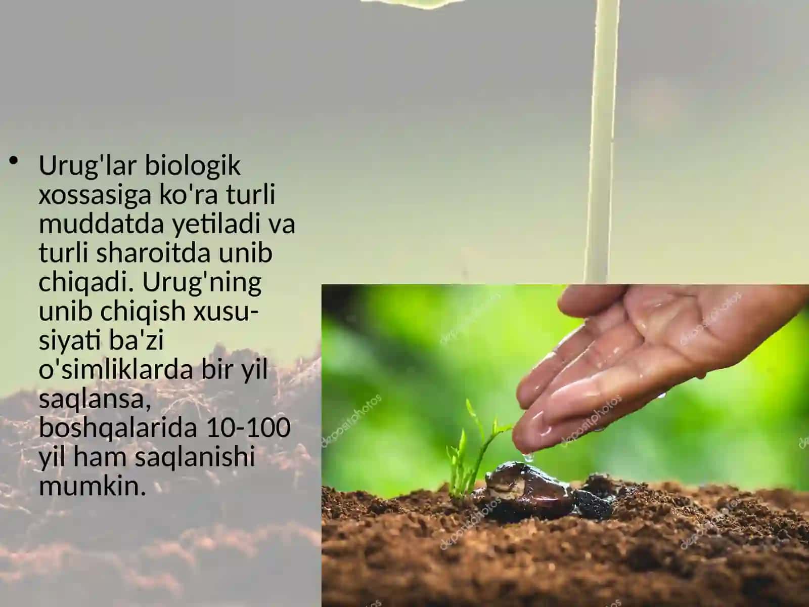 6-sinf Botanika Urug'larning unib chiqishi 3