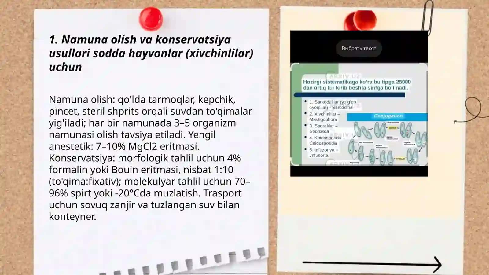 Sodda hayvonlar xivchinlilar labarator tekshirish usullari 3