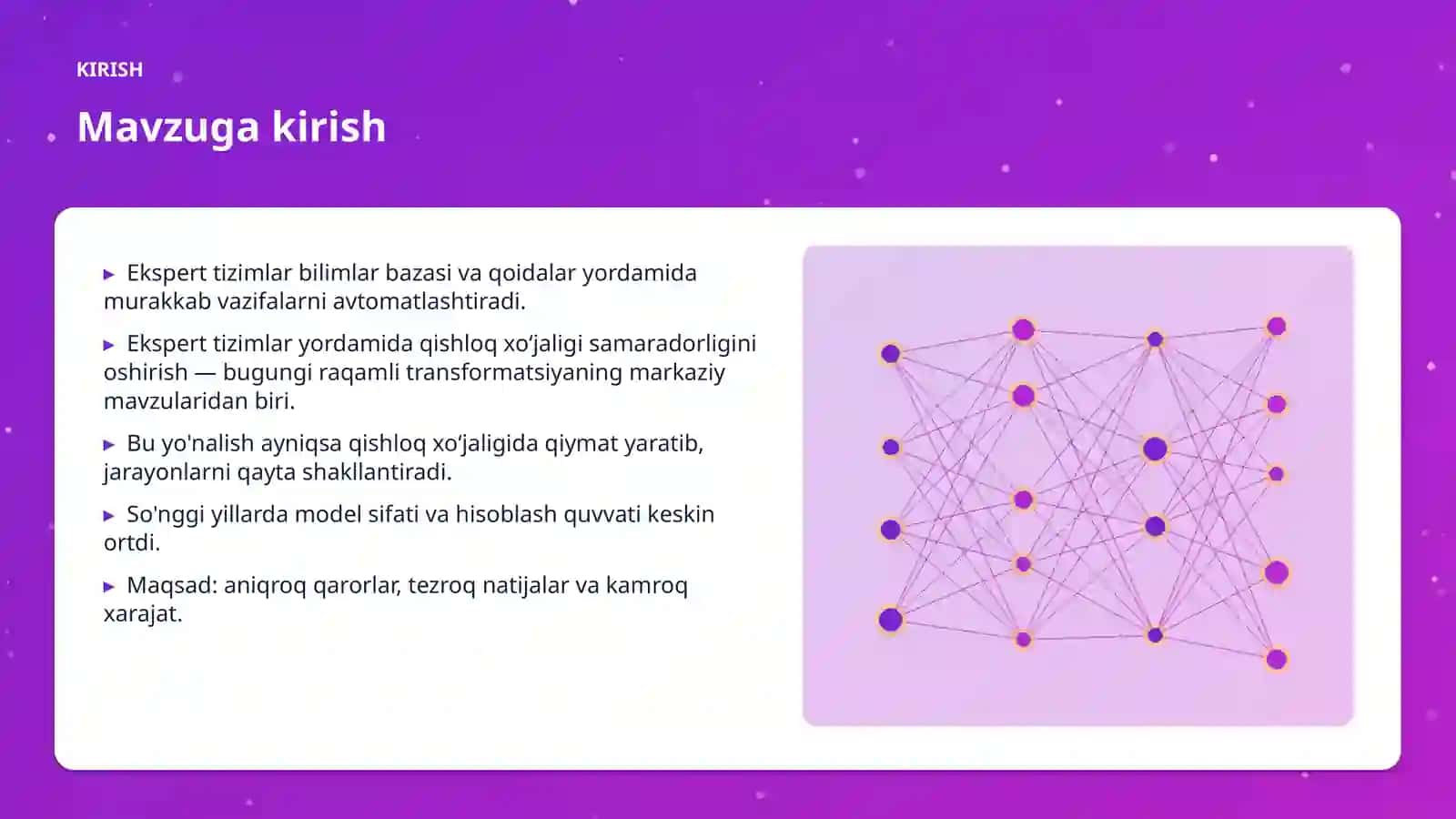 AI INSIGHTS • PREMIUM TAQDIMOT 3
