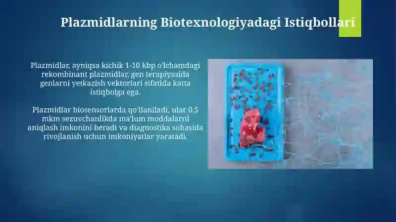 Plazmidlarning Biotexnologiyadagi Istiqbollari 3