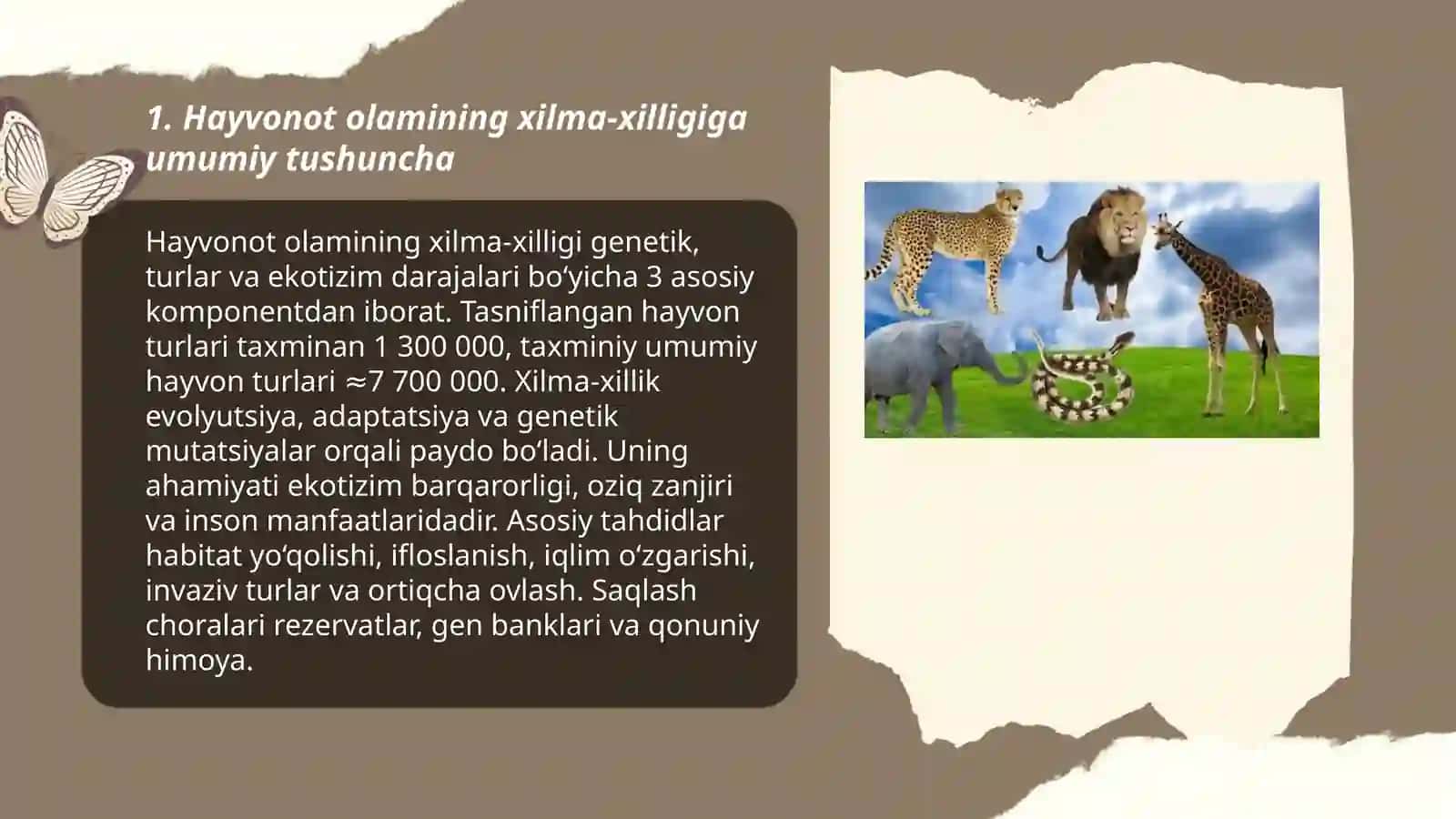Hayvonot olamining xilmaxiligi 3