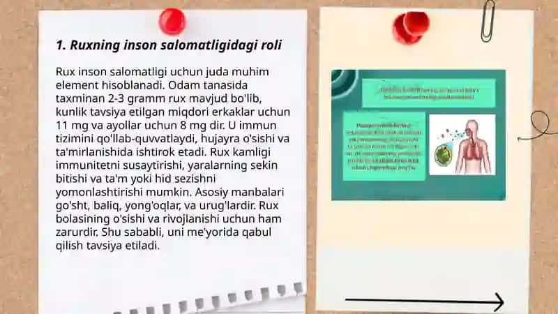 Ruxning organizmdagi ahamiyati 3