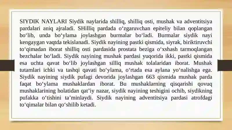 Siydik chiqarish yo'llarining tuzilishi 3