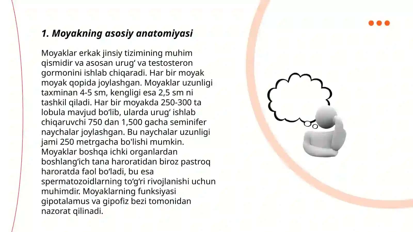 Moyakning asosiy anatomiyasi 3