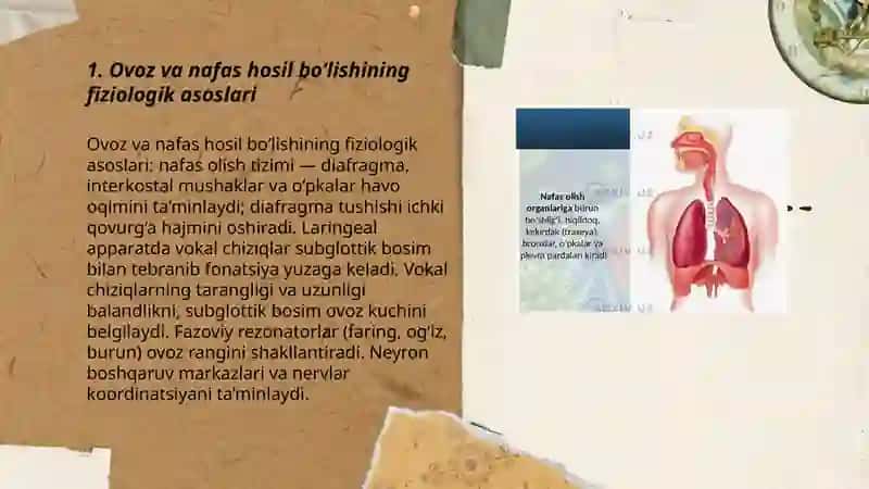 Ovoz va nafas hosil bo'lishining ahamiyati 3