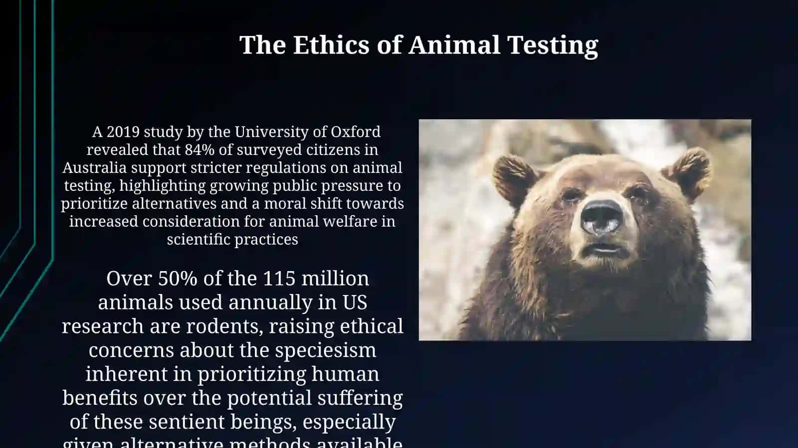 Animal Testing 3