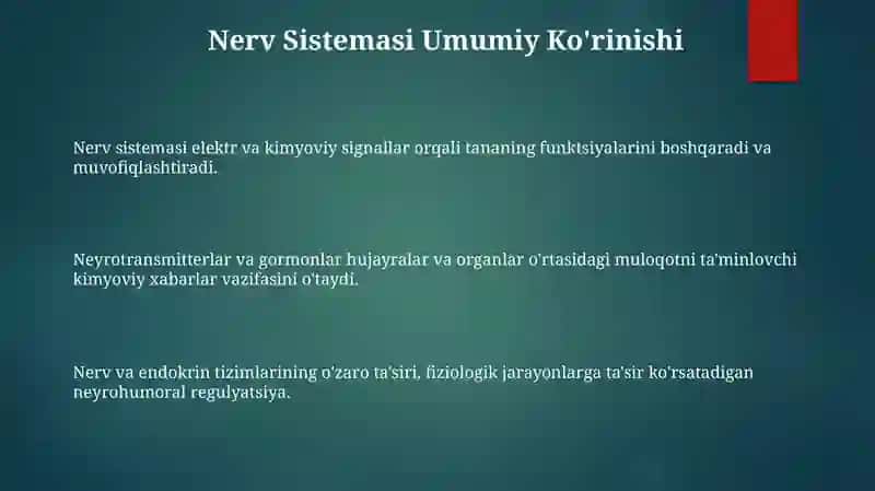 Organizmning neyrogumoral boshqarilishi 3