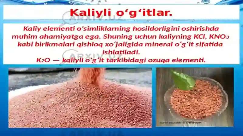 Mineral va organiko‘g‘itlar 3