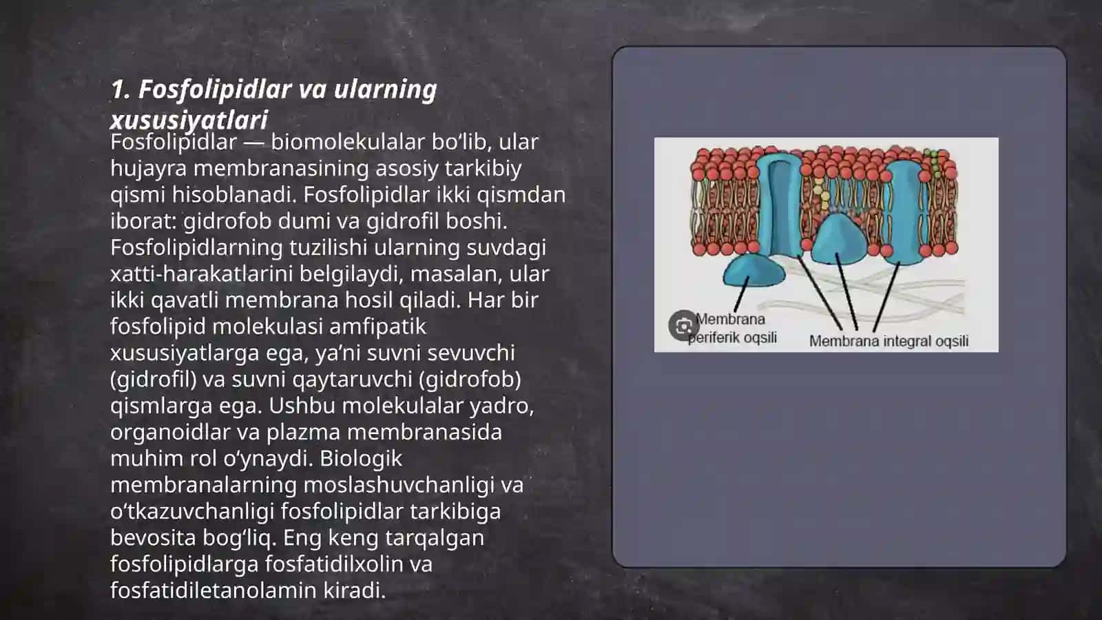 Biologik membranalar 3