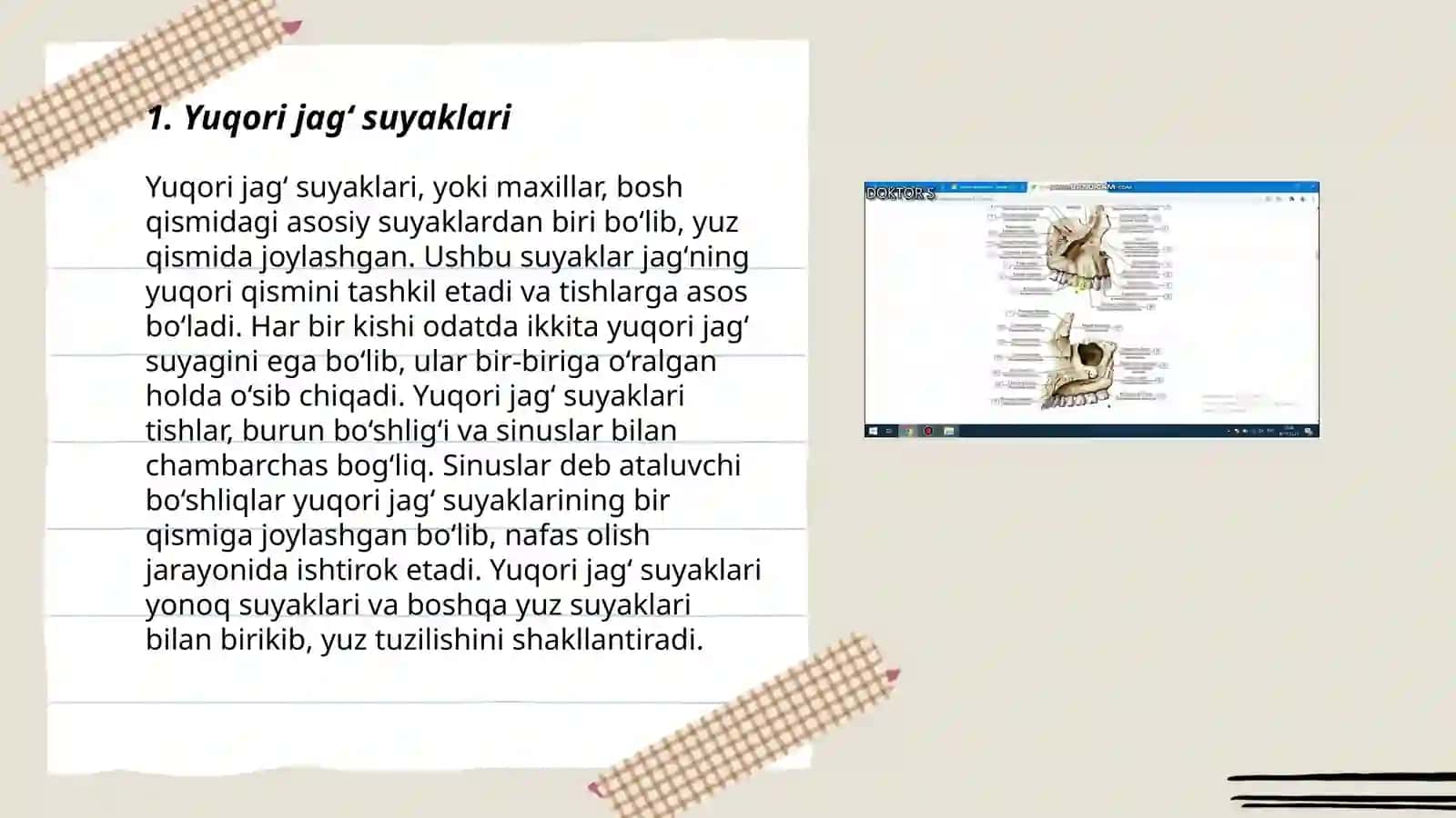 Yuqori jagʻ suyaklari 3