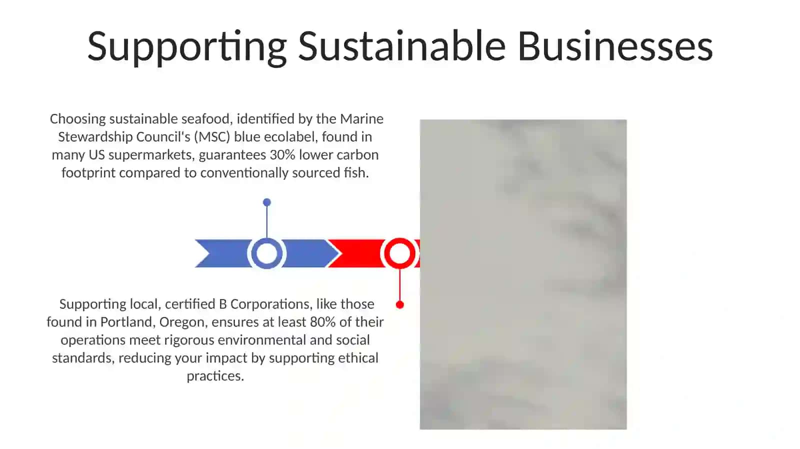 Create an environmental campign to protect our planet 3