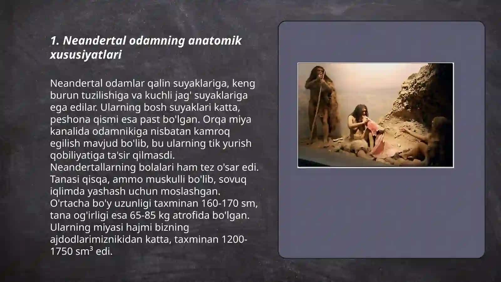 Neandertal odam va uning turmush tarzi 3