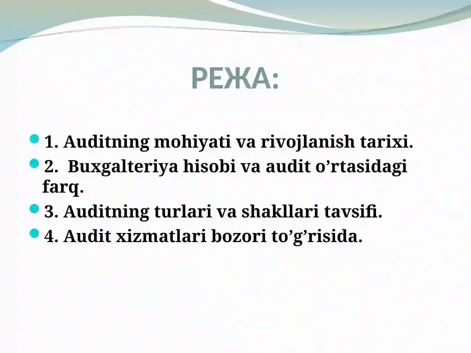 AUDITGA UMUMIY TAVSIF 3