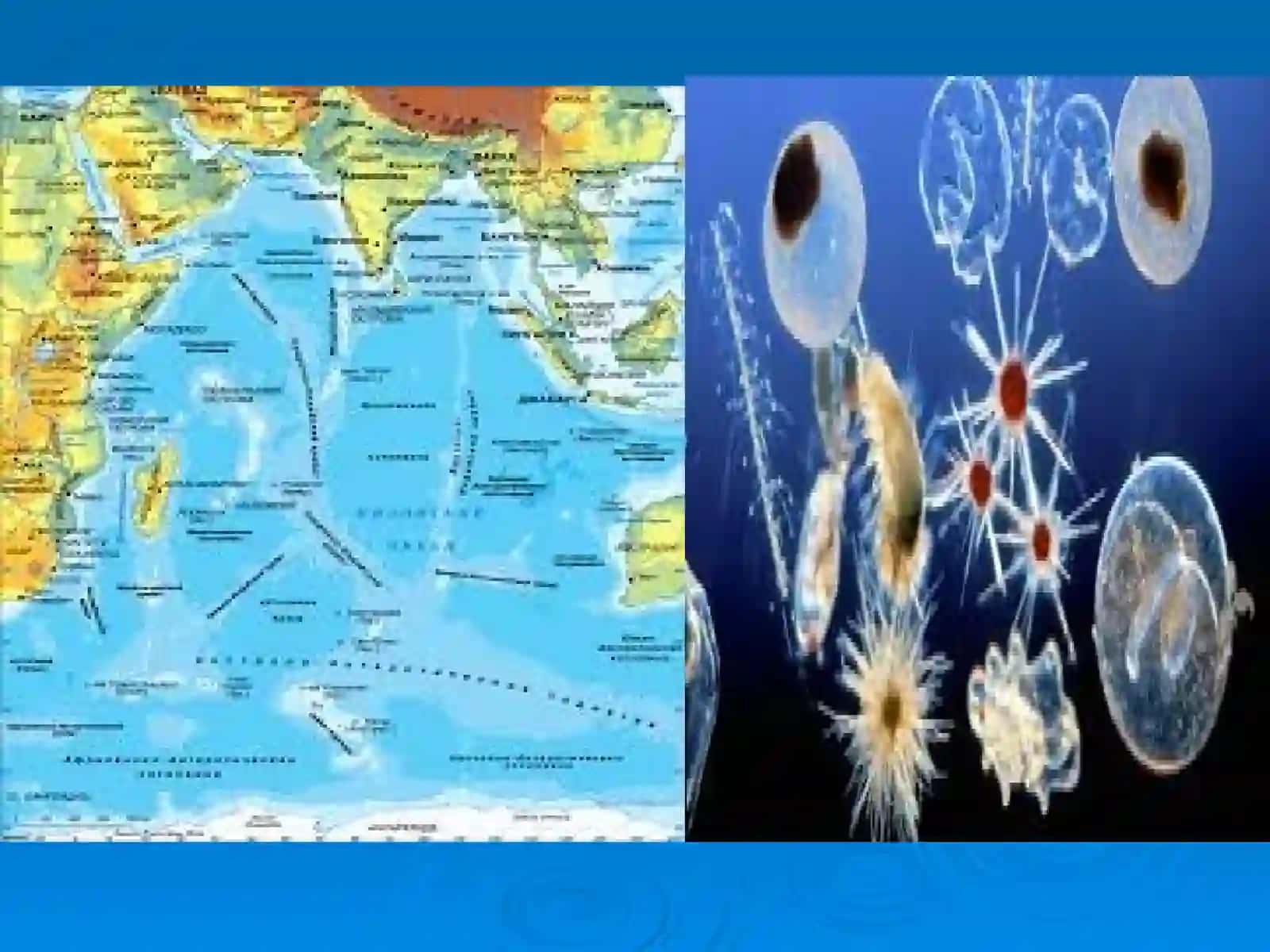 7-sinf Geografiya fanidan Hind okeani mavzusida dars taqdimoti 3