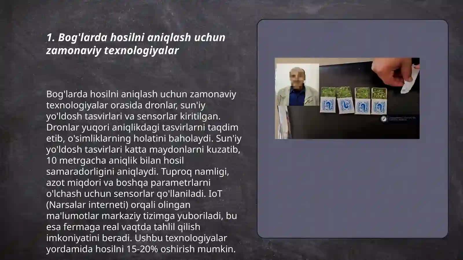 Bog'larda hosilni aniqlash usuli 3