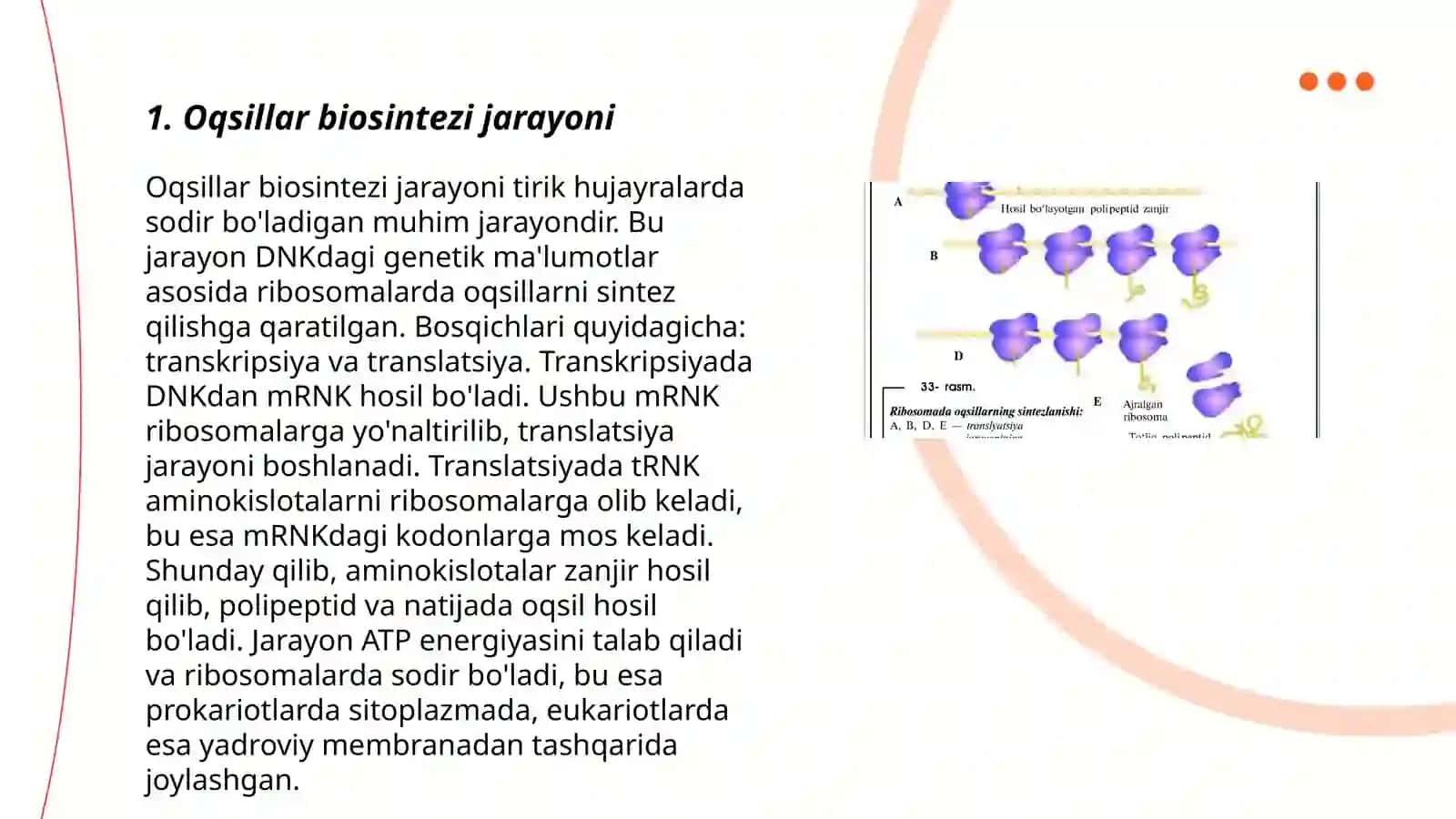 Oqsil biosintezi ingibitorlari 3