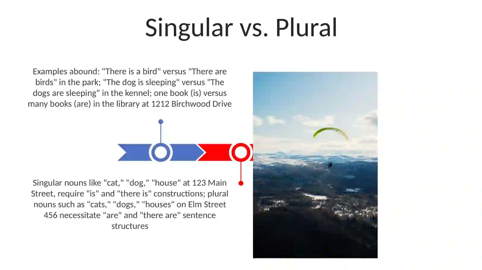 Singular vs. Plural 3