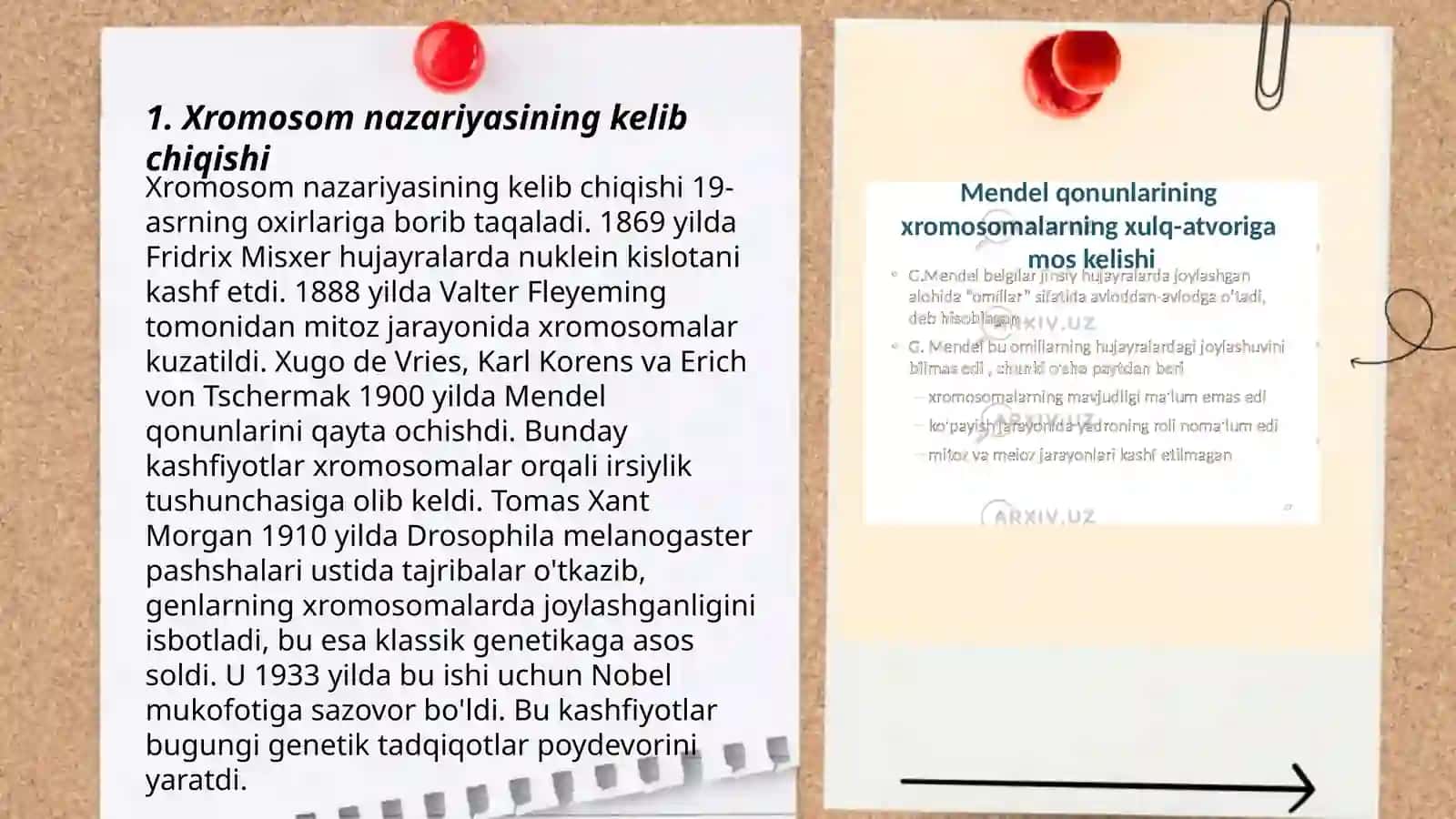 IRSIYATNING XROMOSOM NAZARIYASI 3