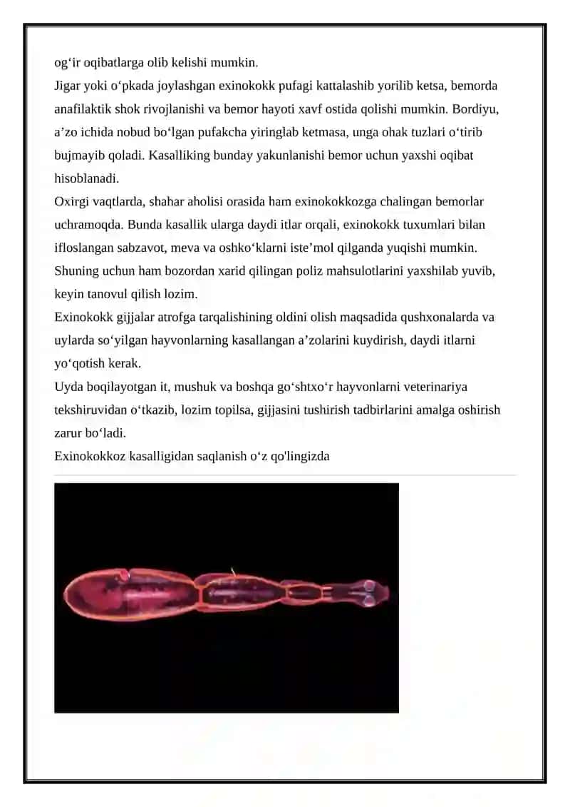 JIGAR EXINOKOKKOZI 3
