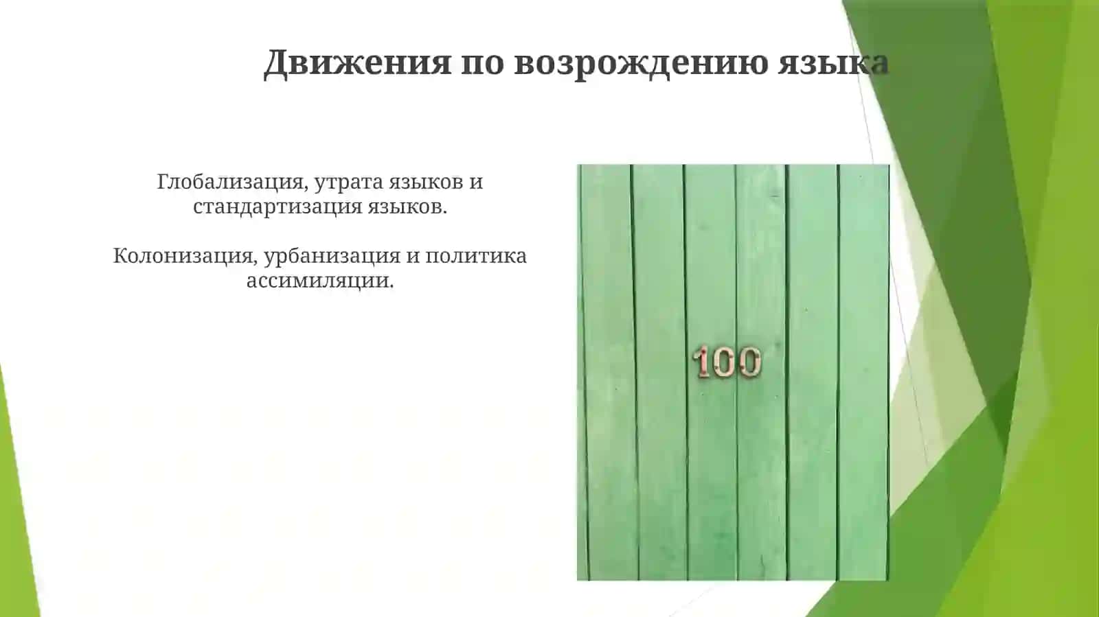 Языковая ситуация 20 века 3