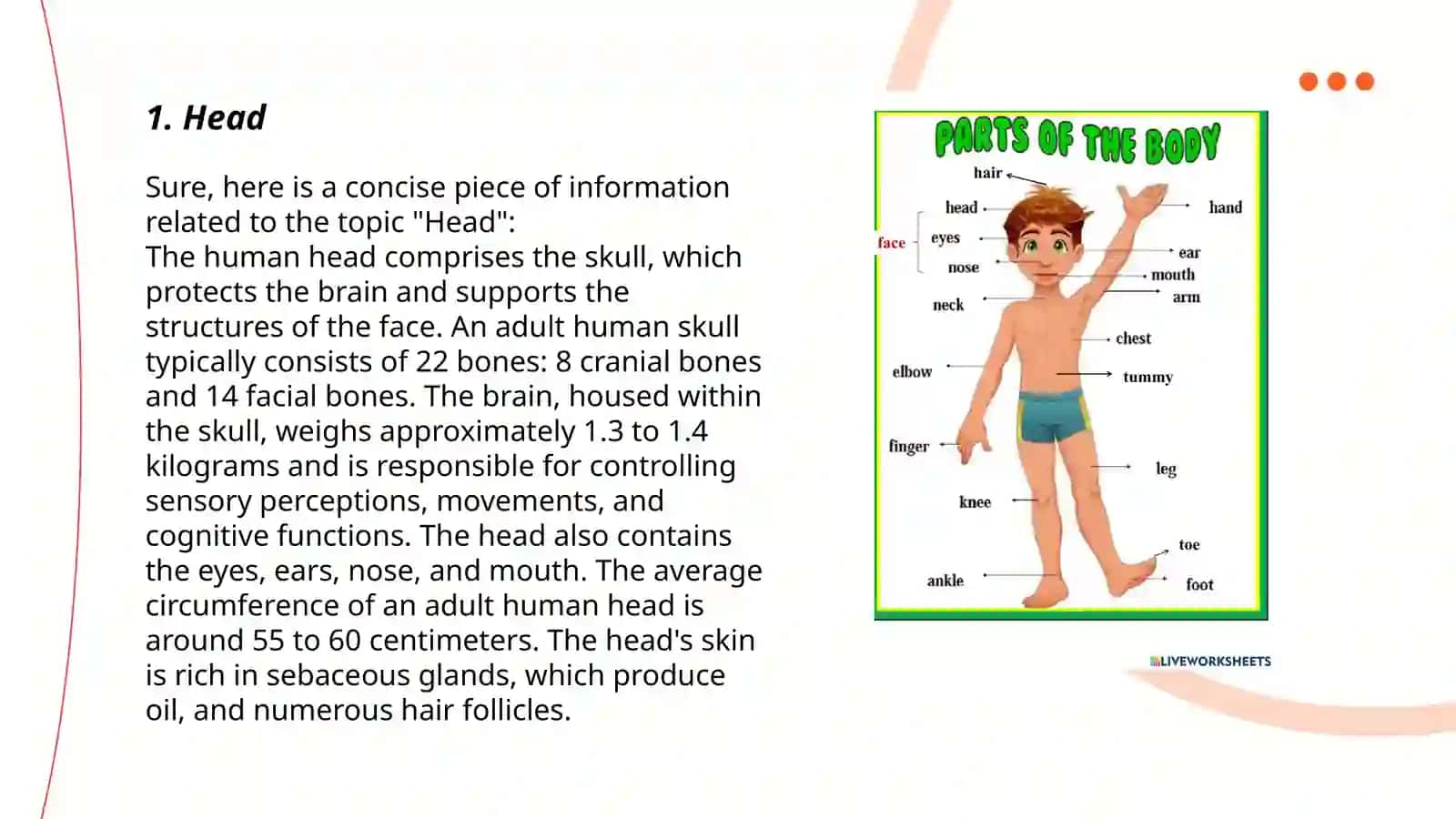 Parts of the body 3