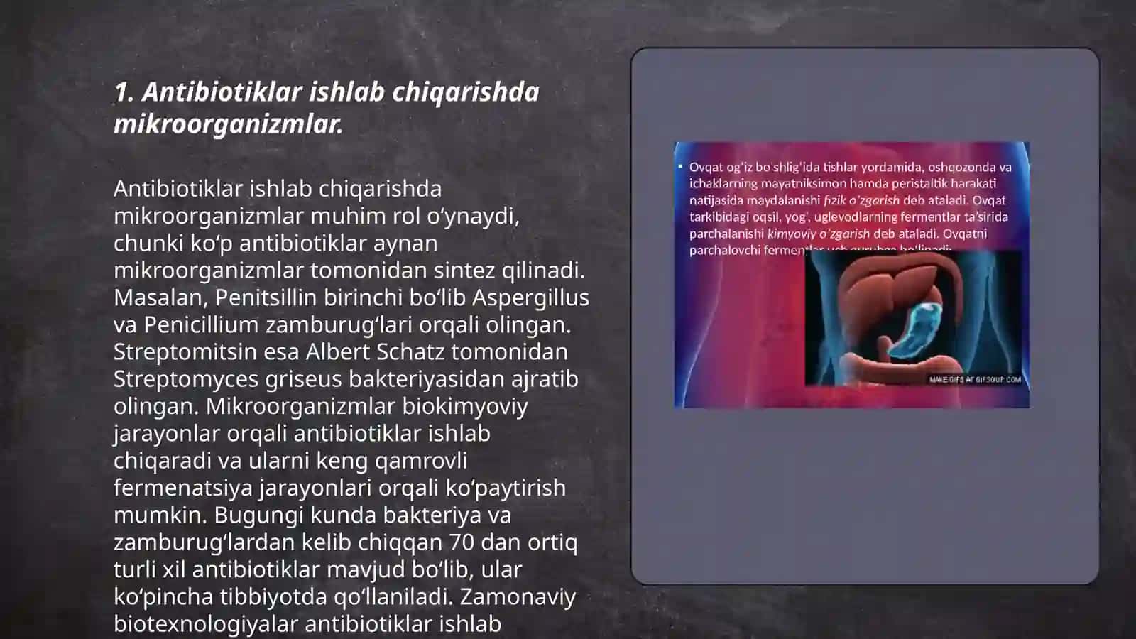 Mikroorganizmlarning tibbiyotdagi ahamiyati 3