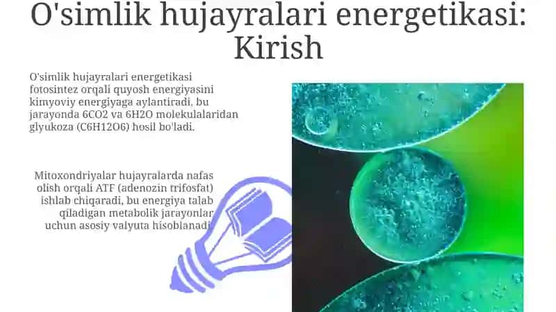 O'simlik hujayralari energetikasi 3