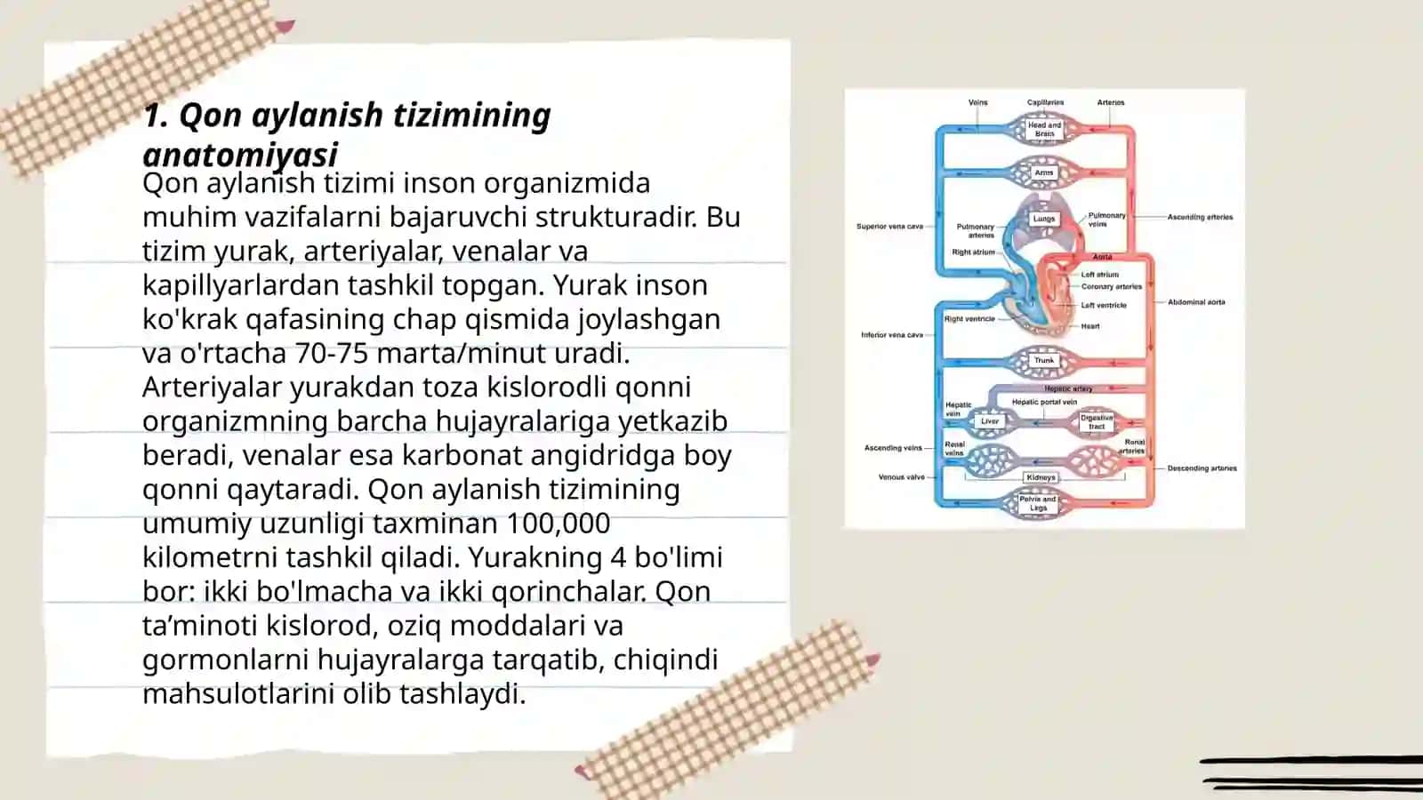 Qon aylanish sistemasining fizik asoslari 3