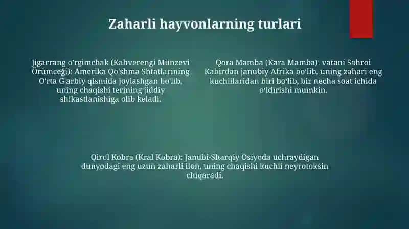 Zaharli Hayvonlar 3