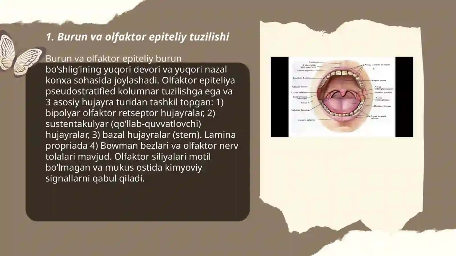 Hid bilish a’zolari 3