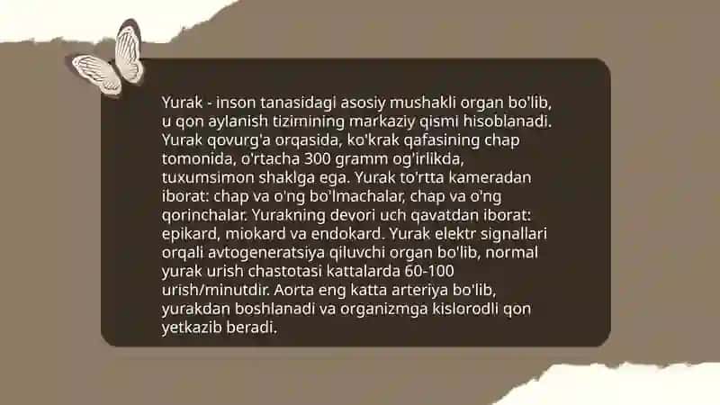 Yurak qon tomir tizimi 3