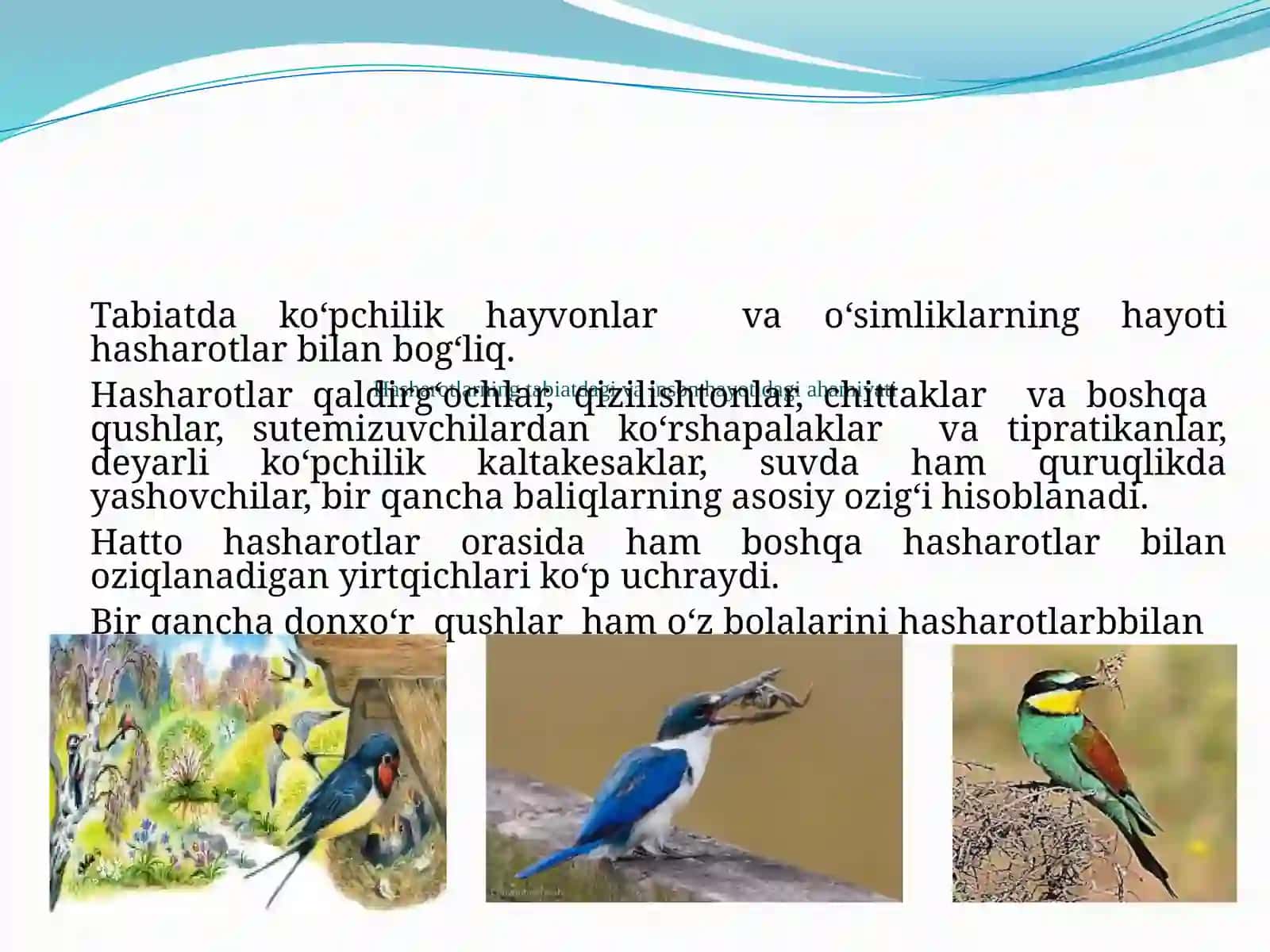 Hasharotlarning kelib chiqishi va ahamiyati 3