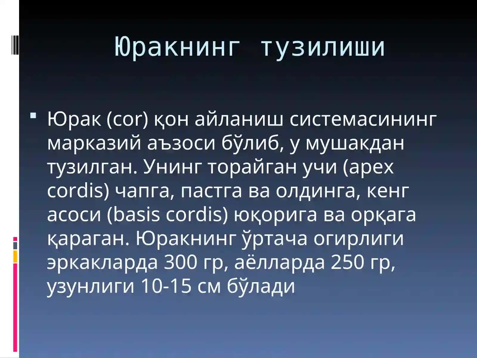 Юрак ва унинг тузилиши 3