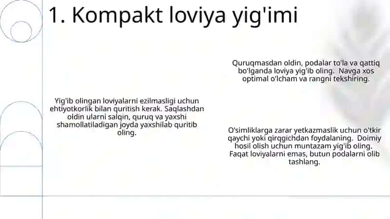 Kompakt fazolar 3