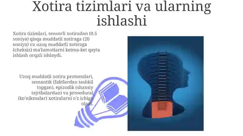 Kognitiv Psixologiya 3