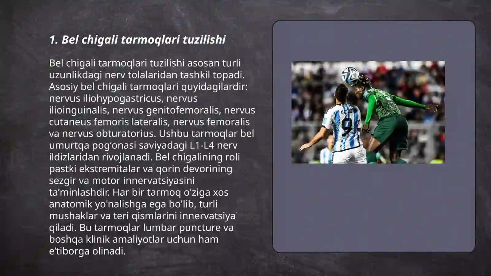 Bel va dumgʻaza chigali tarmoqlari 3