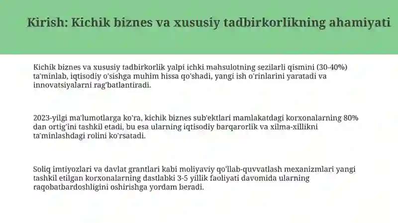 Kichik biznes va xususiy tadbirkorlik 3