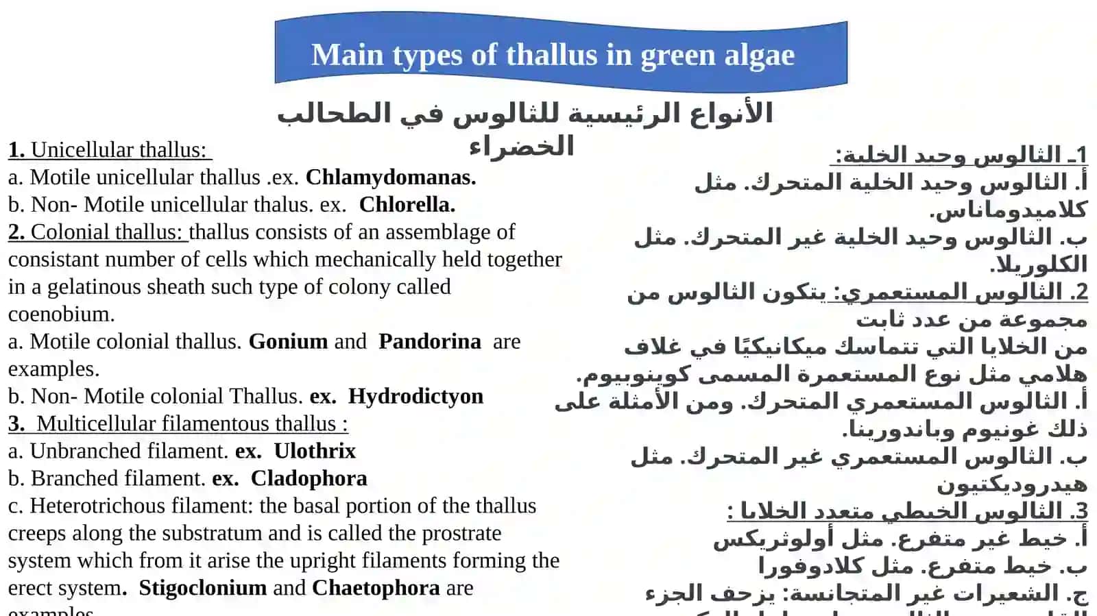 General Characteristics of Chlorophyta 3
