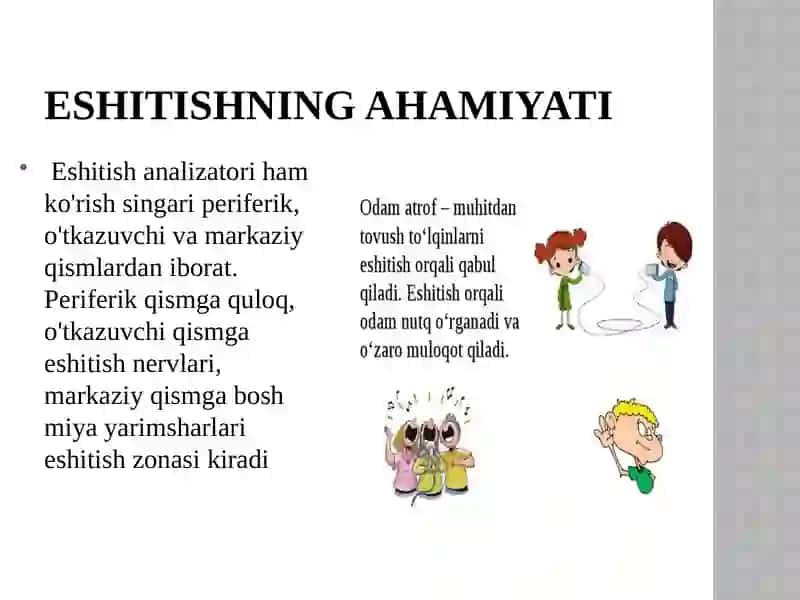 Eshitish organlarining tuzilishi, eshitish gigiyenasi 3
