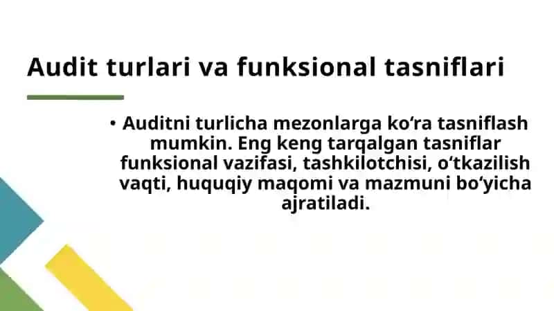 Audit turlari va funksional tasniflari 3