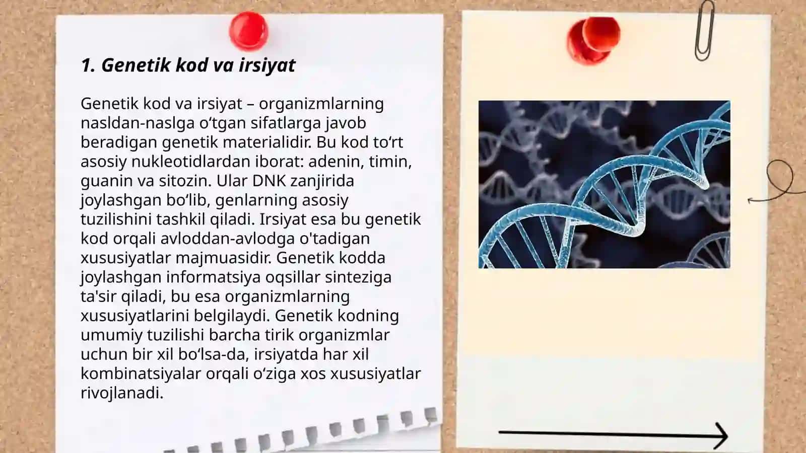 Irsiyatning molekular asoslari 3