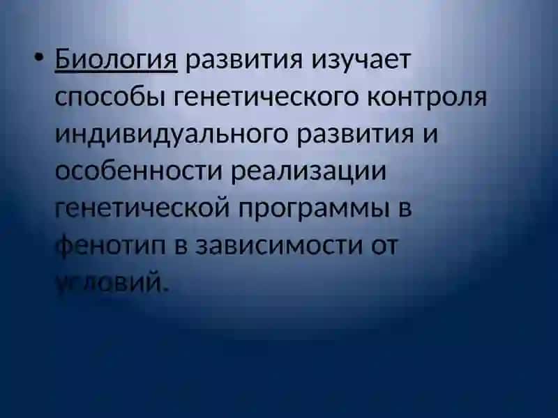 Биология развития 3
