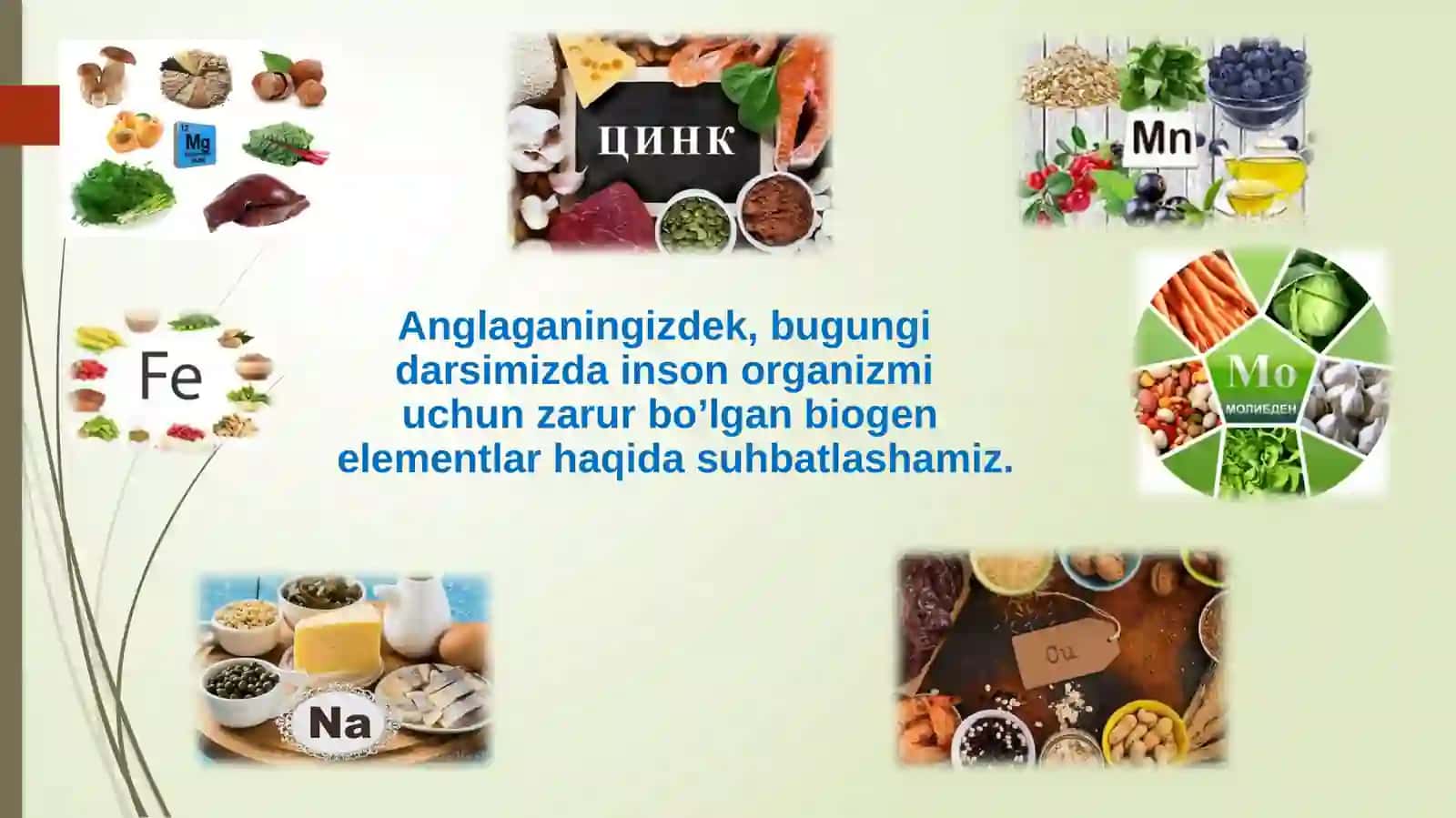 Organizmdagi Biogenelementlar 3