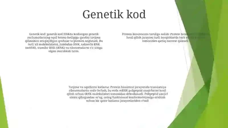 Oqsil Biosintezining Boshqarilishi 3